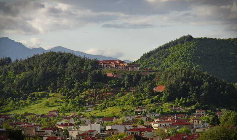Mouzaki Palace Kültér fotó